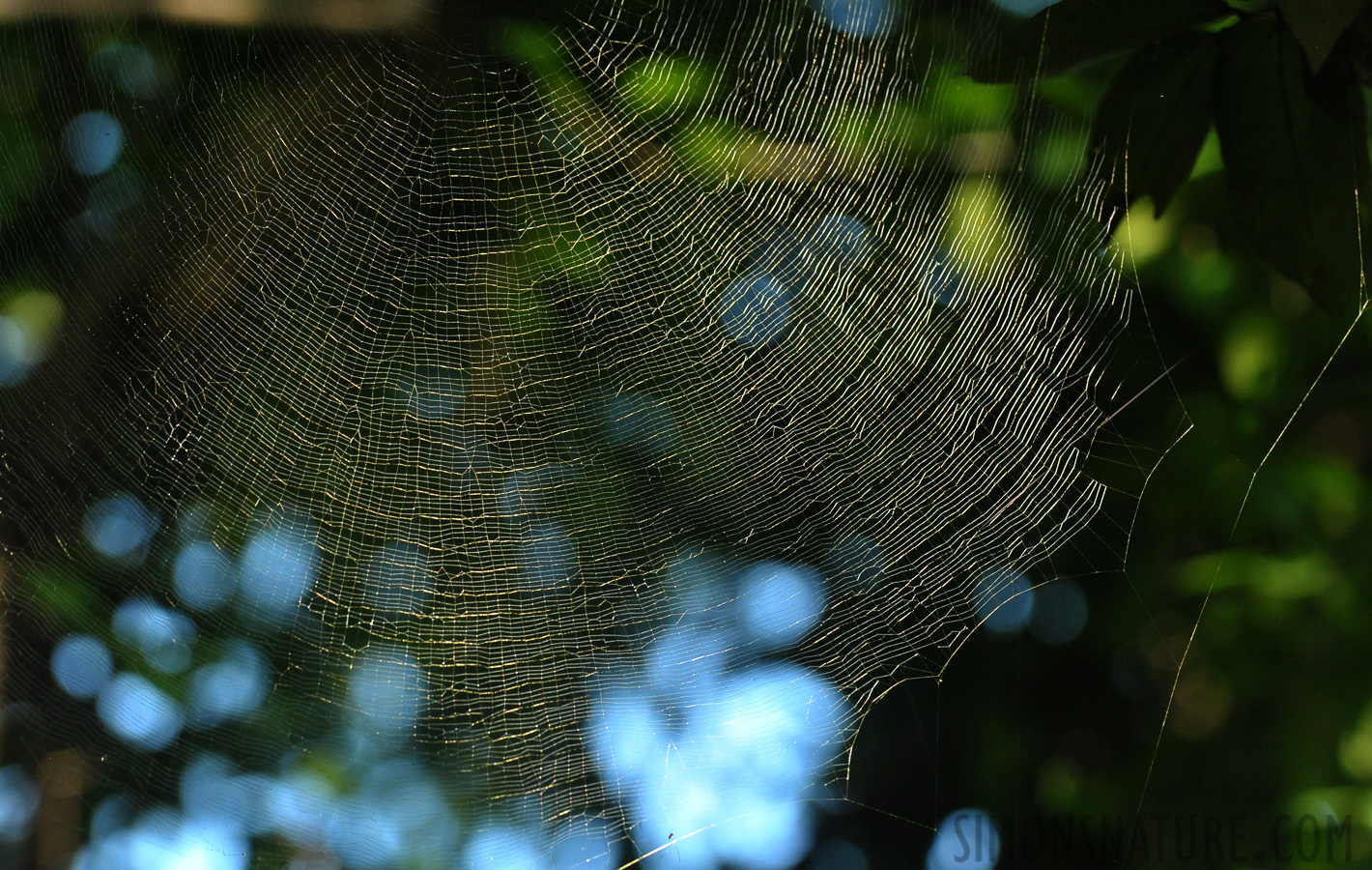 [280 mm, 1/320 Sek. bei f / 8.0, ISO 2500]